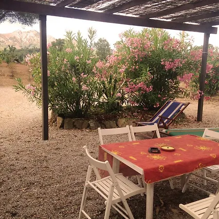 Trilocale Con Giardino *